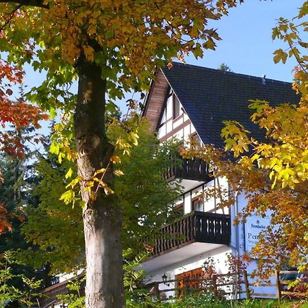 Pension Stiegelmeier ヴィンターベルク エクステリア 写真